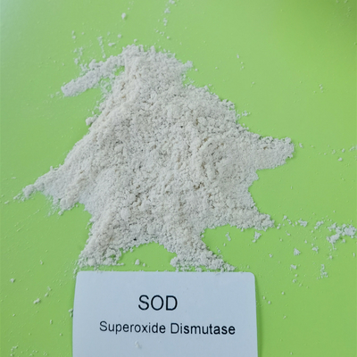 Cilt Bakımında Gıda Üretim Lisansı SOD2 Süperoksit Dismutaz 50000iu/G
