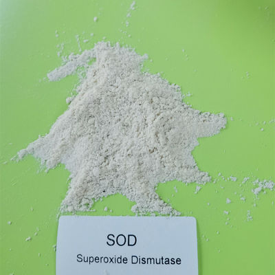 SOD Antioksidan Süperoksit Dismutaz %99 500000iu/g