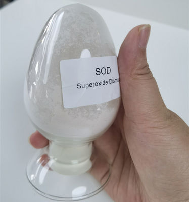 Kozmetikte Mikrobiyal Ekstraksiyon Süperoksit Dismutaz CAS 9054-89-1