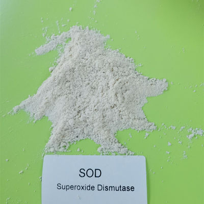 %99 Beyaz SOD Süperoksit Dismutaz Tozu 500000 iu/g