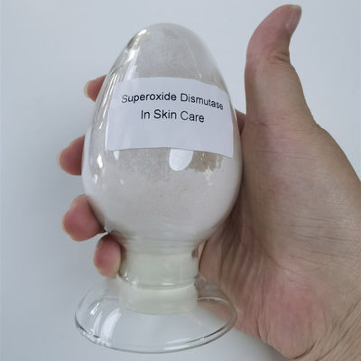 Beyazlatıcı Kırışıklık Karşıtı Süperoksit Dismutaz Tozu CAS 9054-89-1
