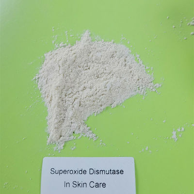 Cilt Bakımı Hammaddesi Kozmetikte Süperoksit Dismutaz 50000IU/g