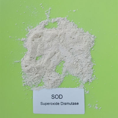 Test 50000iu/g Gıda Üretim Lisansı SOD Süperoksit Dismutaz Tozu